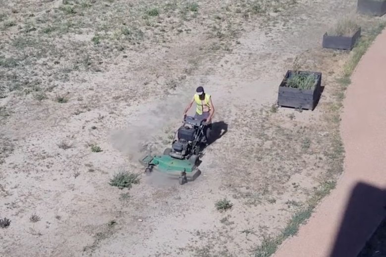 Tymczasem w Warszawie koszą piasek. Kosiarką spalinową