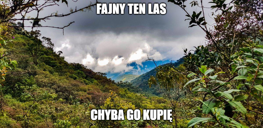 Polscy naukowcy chcą kupić las w Kolumbii, żeby go ocalić