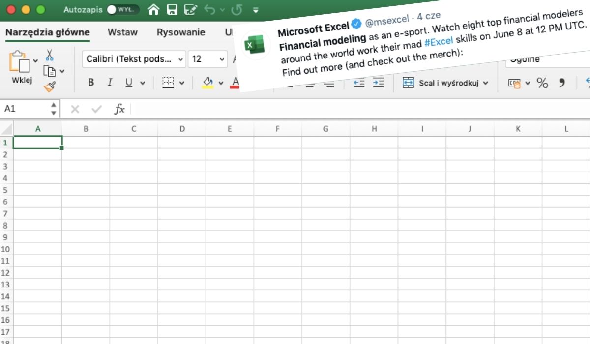 Polka wzięła udział w mistrzostwach świata w Excelu