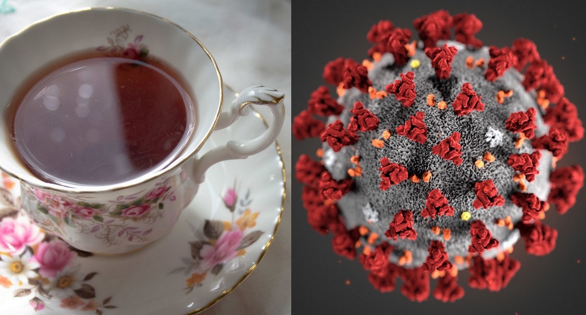 Badanie: koronawirus nie lubi się z herbatą i lepiej ją pić niż nie pić