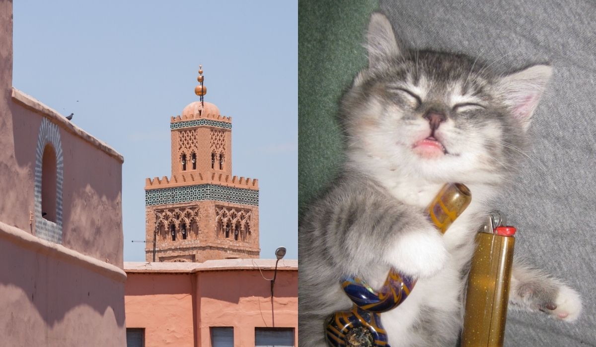 Maroko zamierza zalegalizować marihuanę na potrzeby lecznicze