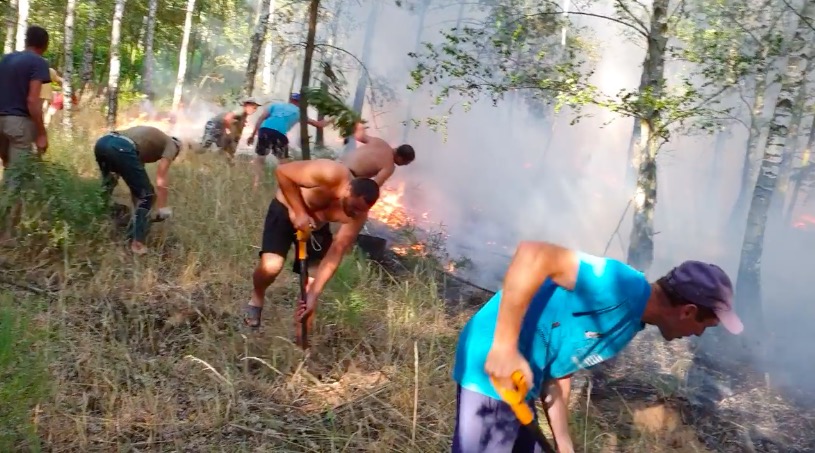 Ukraińcy gasili pożar lasu przed przyjazdem strażaków. "Walczyli łopatami i gałęziami"