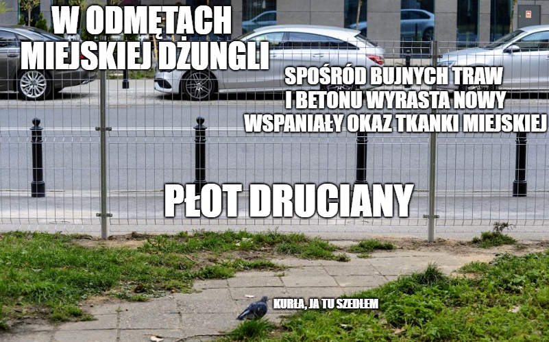 Warszawska spółdzielnia grodzi się, jakby grała w Simsy