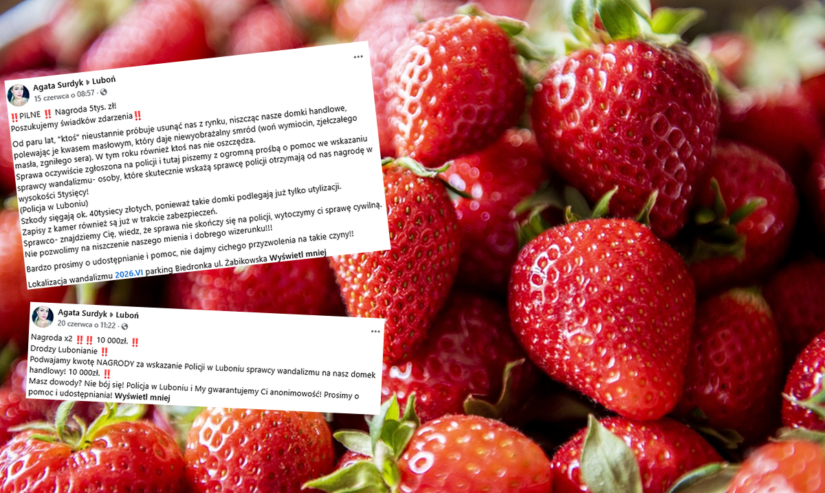 W Luboniu kwitnie mafia truskawkowa oblewająca kwasem stoiska konkurencji
