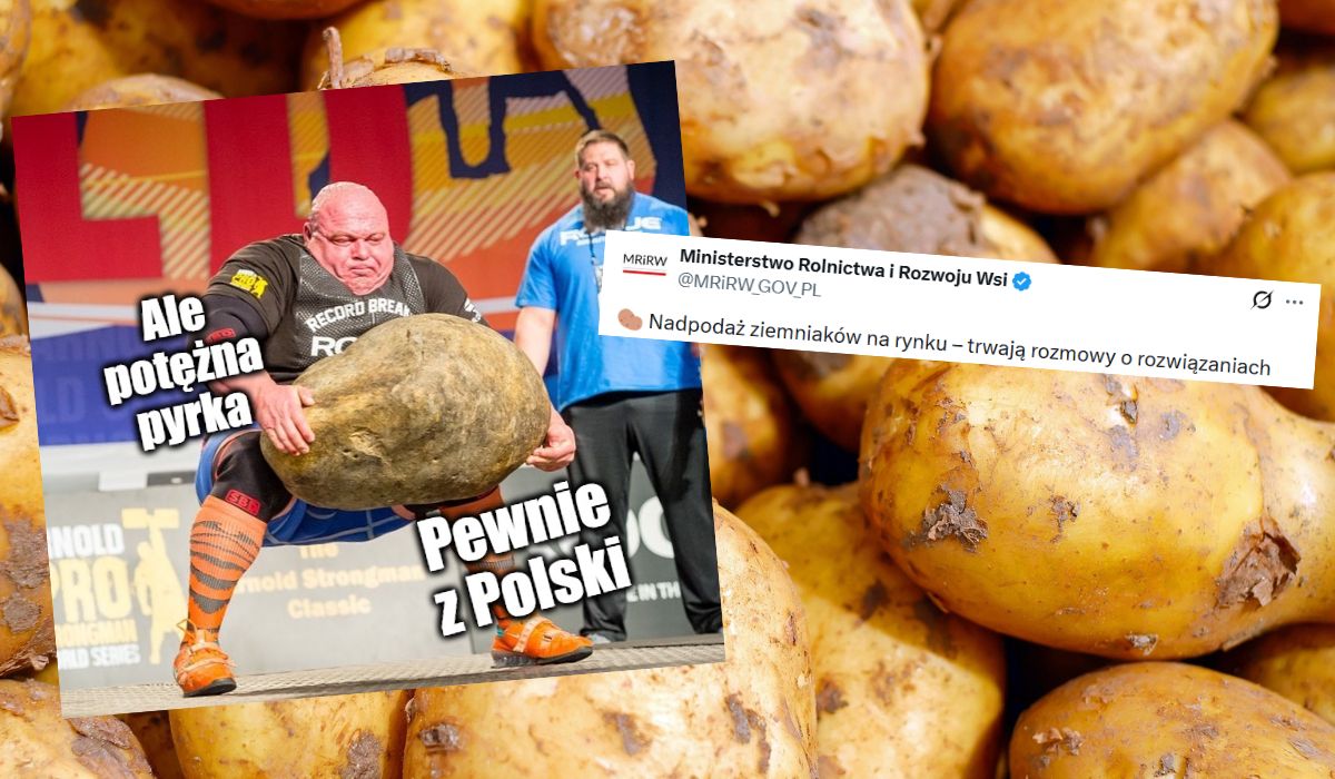 Polska Federacja Ziemniaka ostrzega przed niekontrolowanym napływem kartofli z innych krajów UE