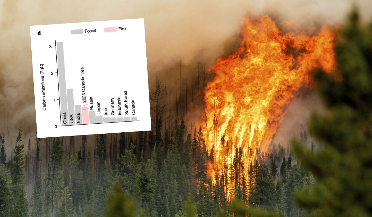 Badanie: pożary w Kanadzie wyemitowały w 2023 roku więcej CO2 niż prawie każde duże państwo