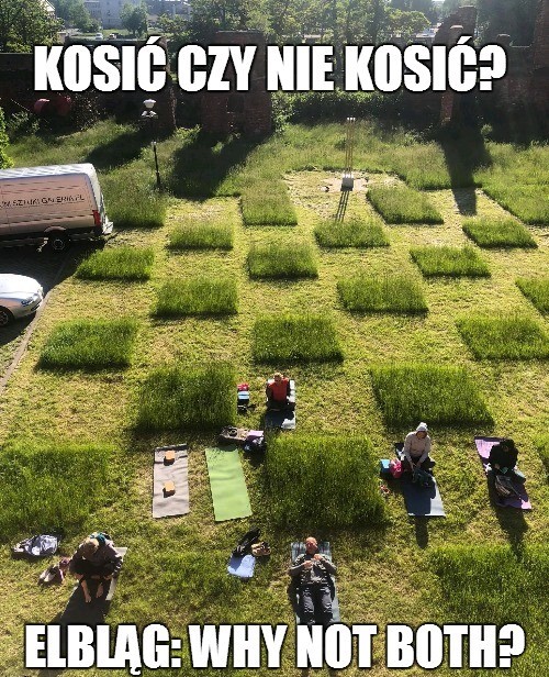 Kadr dnia: Elbląg rozwiązał dylemat koszenia i tnie w szachownicę