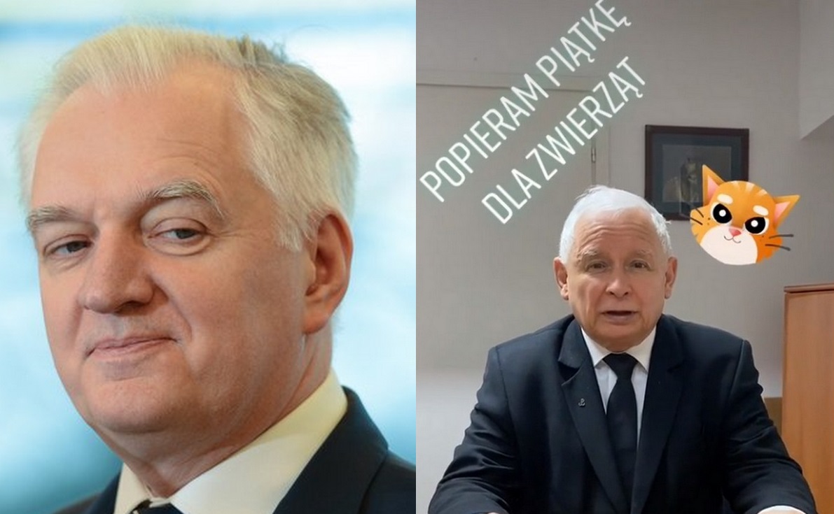 Porozumienie chce opóźnić zakaz hodowli zwierząt futerkowych: kilka lat vacatio legis na zmianę branży