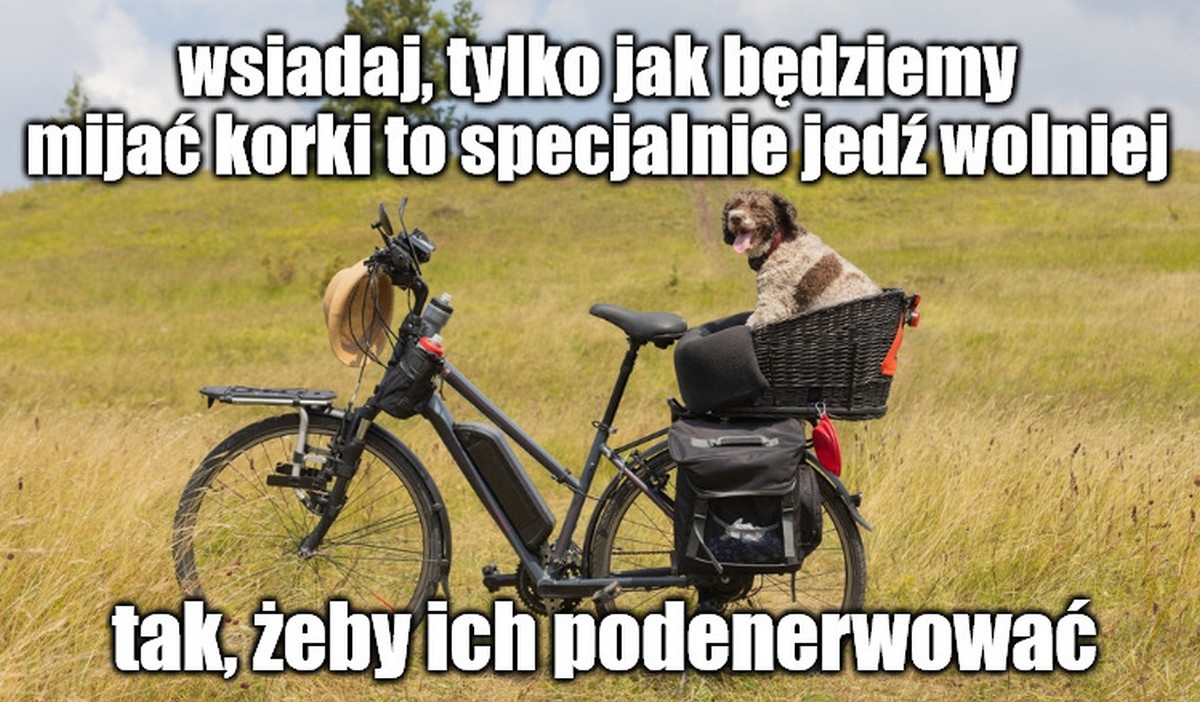 Rząd pracuje nad wsparciem osób, które chcą kupić rower elektryczny, także ten w wersji cargo