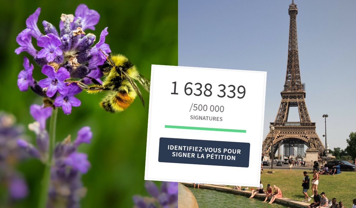 Fot.: Jenna Lee - Unsplash / Fot.: East News / Fot.: petitions.assemblee-nationale.fr
