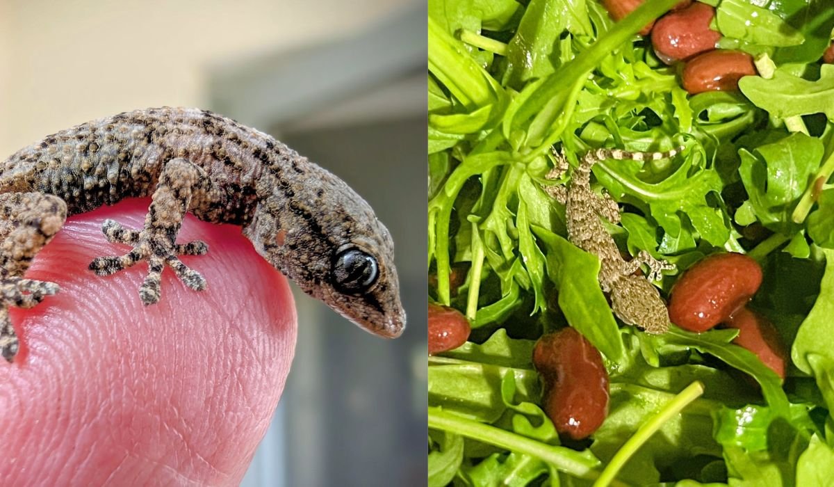 Fot.: Fundacja Epicrates - Facebook