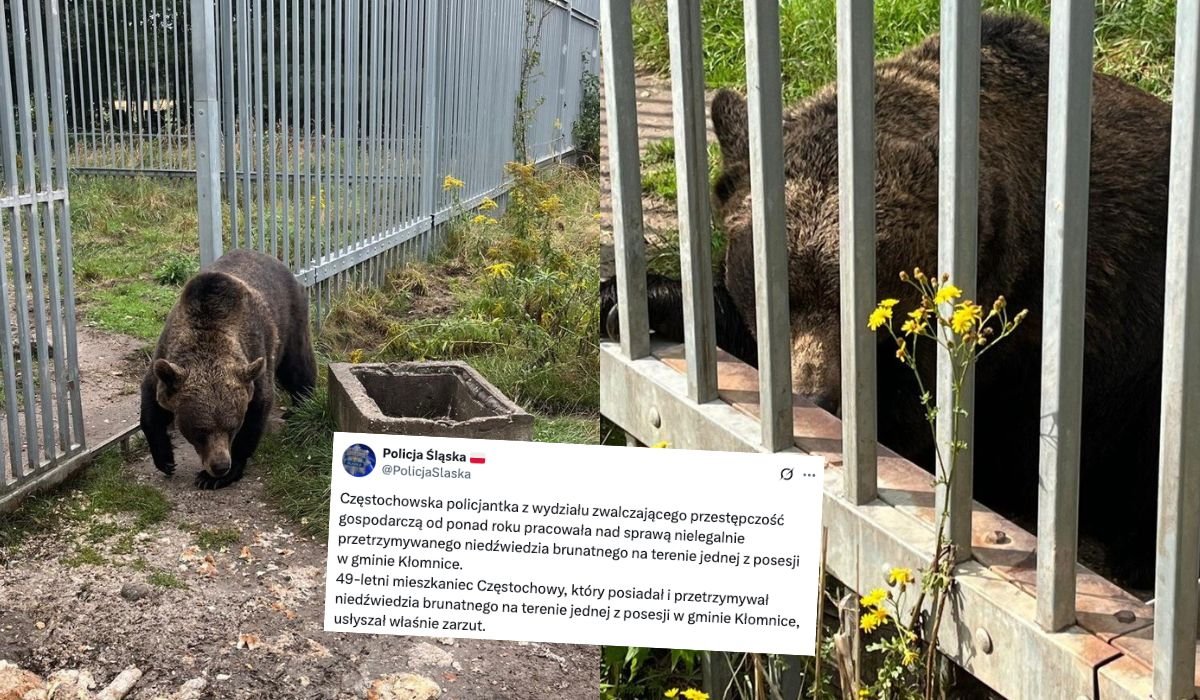 fot. KMP Częstochowa / X