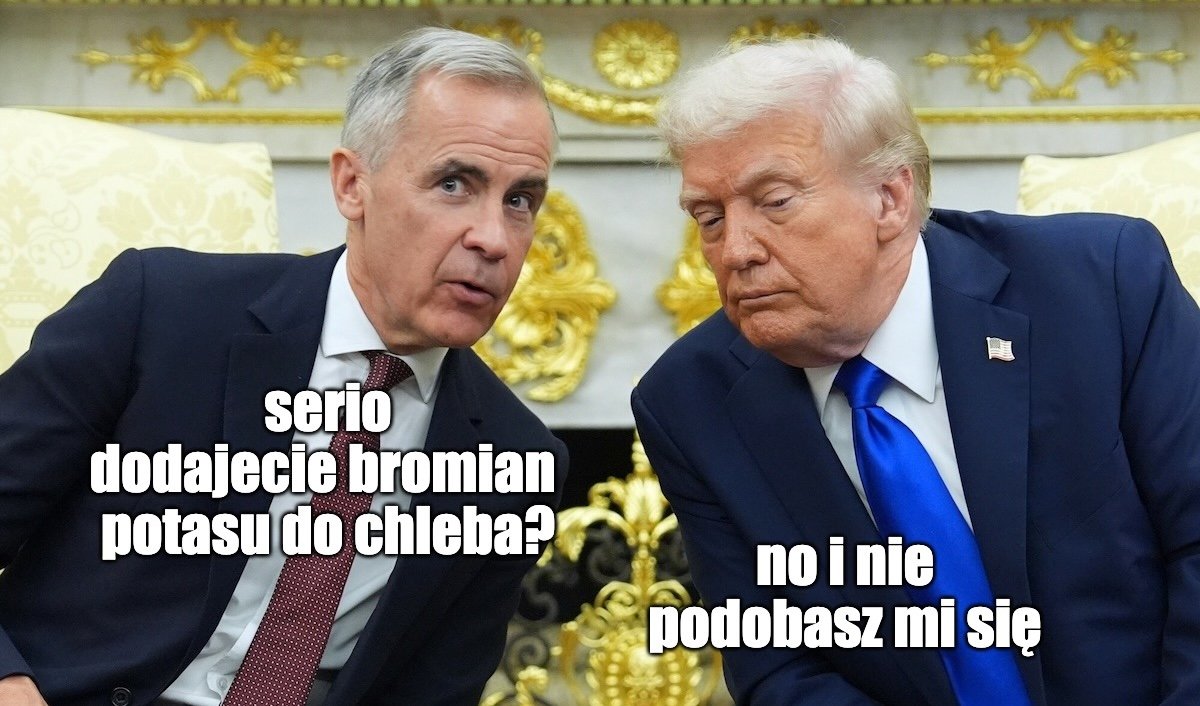 fot. East News