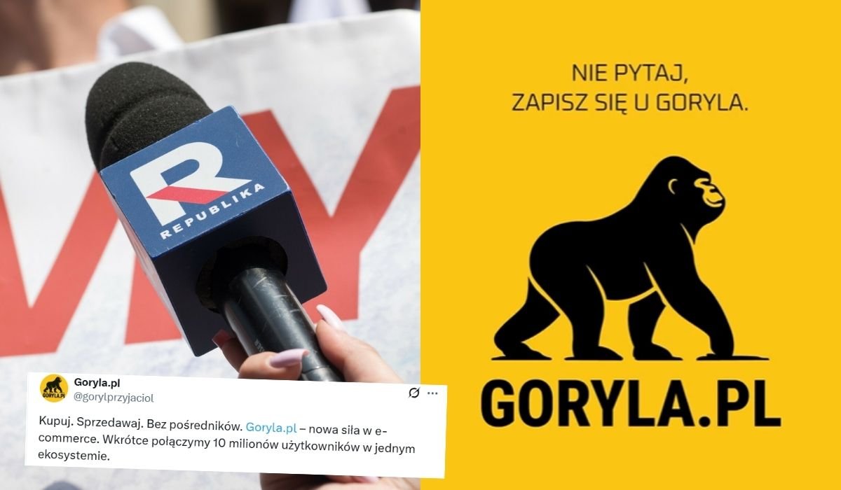 Fot. East News / X @gorylprzyjaciol