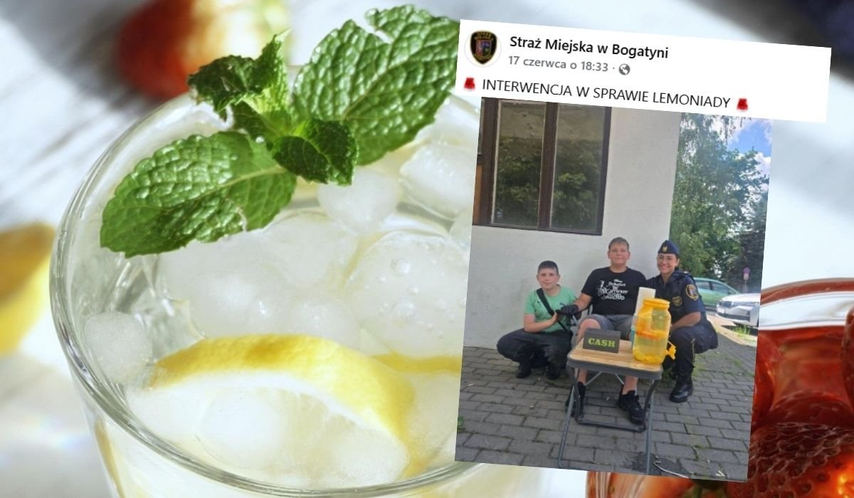 fot. Pixabay @summerdayll / Facebook @Straż Miejska w Bogatyni