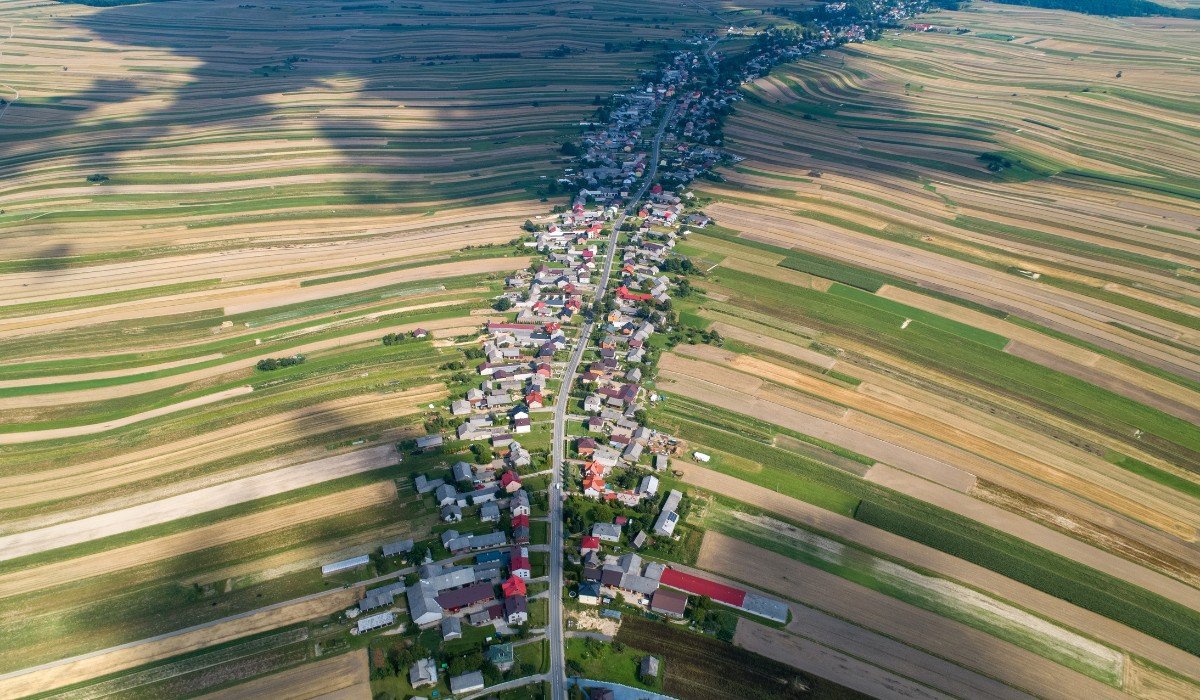 fot. Shutterstock